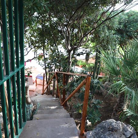 Casa Elvira Villa Terrasini Kültér fotó