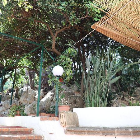Casa Elvira Villa Terrasini Kültér fotó