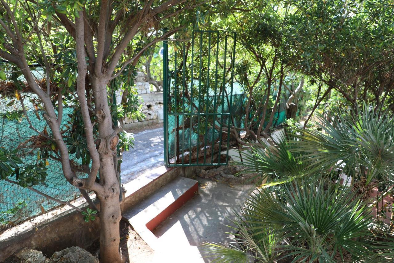 Casa Elvira Villa Terrasini Kültér fotó