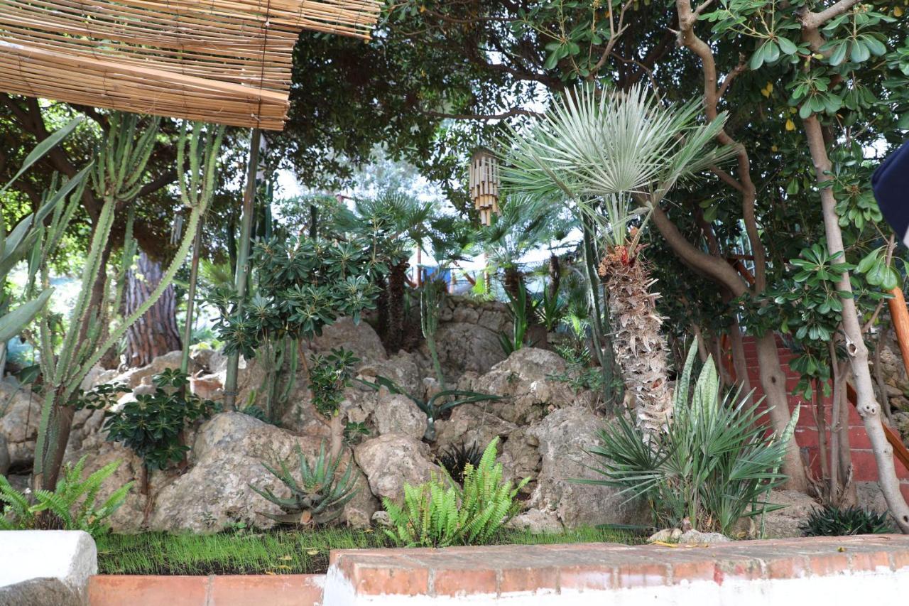 Casa Elvira Villa Terrasini Kültér fotó